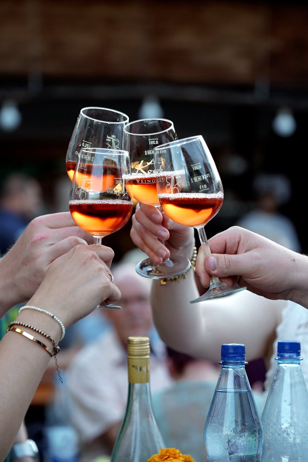 Jubiläum: 50 Jahre Weingut Koob