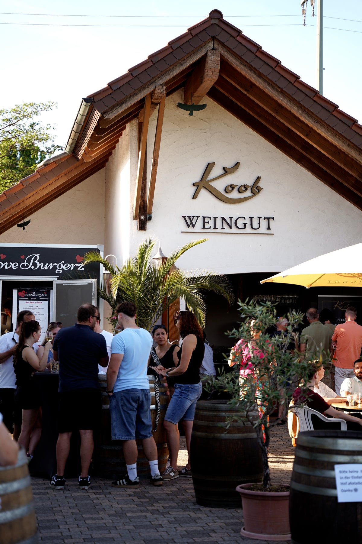 Jubiläum: 50 Jahre Weingut Koob