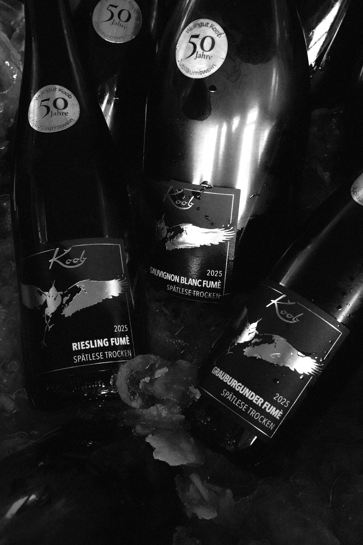 Jubiläum: 50 Jahre Weingut Koob